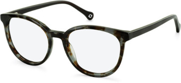 SFE-11110 glasses in Grey