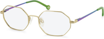 SFE-11117 glasses in Gold