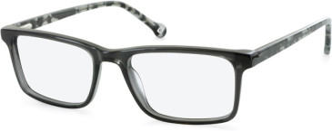 SFE-11123 glasses in Grey