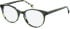 SFE-11125 glasses in Khaki