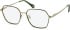 SFE-11128 glasses in Khaki/Gold