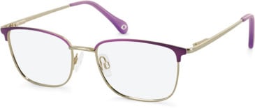 SFE-11130 glasses in Purple/Gold