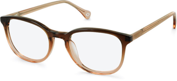 SFE-11131 glasses in Brown