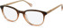 SFE-11131 glasses in Brown