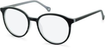 SFE-11132 glasses in Grey