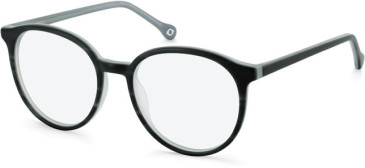 SFE-11132 glasses in Grey