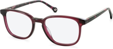 SFE-11145 glasses in Raspberry