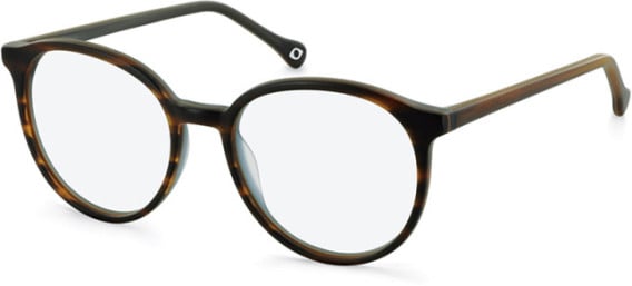 SFE-11132 glasses in Brown