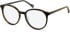 SFE-11132 glasses in Brown