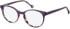 SFE-11125 glasses in Purple