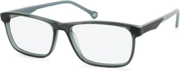 SFE-11118 glasses in Grey