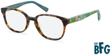 Roald Dahl RD-21 The BFG kids glasses in Havana