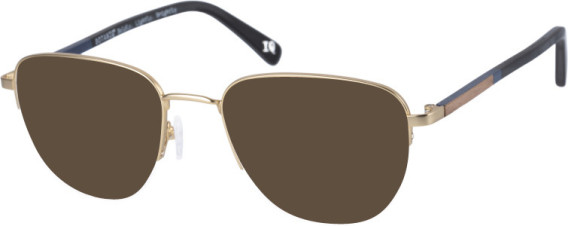 Botaniq BIO-1029 sunglasses in Gold Bamboo