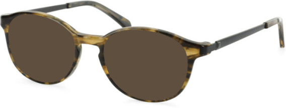 Hero For Men HRO-4247 sunglasses in Brown