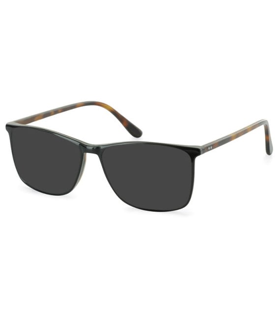 Hero For Men HRO-4274 sunglasses in Black/Tortoiseshell