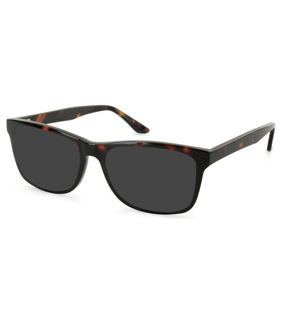 Hero For Men HRO-4296 sunglasses in Tortoiseshell