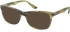 Hero For Men HRO-4297 sunglasses in Brown