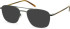Hero For Men HRO-4307 sunglasses in Gunmetal