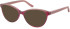 Lulu Guinness LGO-L923 sunglasses in Pink