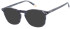 O'Neill ONB-4012 sunglasses in Smoke Horn