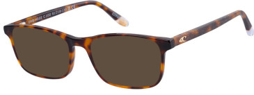 O'Neill ONB-4022 sunglasses in Gloss Tortoise