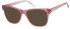 O'Neill ONB-4030 sunglasses in Pink Crystal