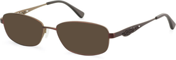 Puccini PCO-288 sunglasses in Burgundy