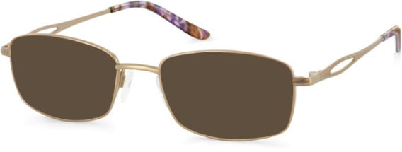 Puccini PCO-310 sunglasses in Bronze