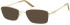 Puccini PCO-315 sunglasses in Gold