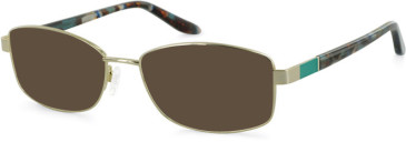 Puccini PCO-321 sunglasses in Gold