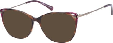 Radley RDO-6008 sunglasses in Tortoise/Purple