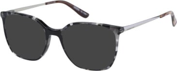 Superdry SDO-2020 sunglasses in Black Tortoise