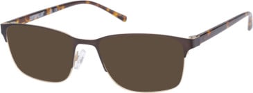 CAT CPO-3519 sunglasses in Matt Brown