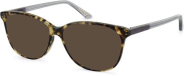 Episode EPO-289 sunglasses in Tortoiseshell