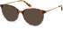 Lulu Guinness LGO-L946 sunglasses in Tortoiseshell