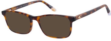 O'Neill ONB-4022 sunglasses in Gloss Tortoise