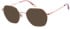 O'Neill ONB-4034 sunglasses in Rose Gold