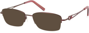 Puccini PCO-286 sunglasses in Burgundy