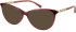 Zoffani ZFO-3108 sunglasses in Burgundy