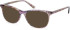 Episode EPO-266 sunglasses in Purple