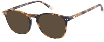 O'Neill ONB-4012 sunglasses in Gloss Tortoise