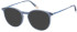 O'Neill ONB-4023 sunglasses in Blue Crystal