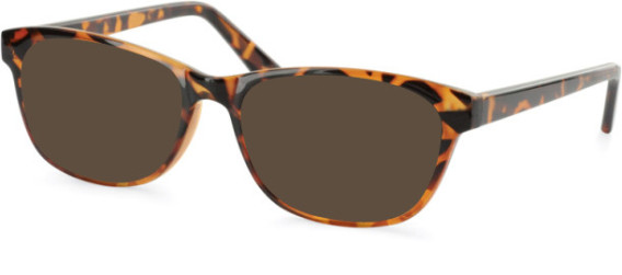 SFE-11048 sunglasses in Tortoiseshell