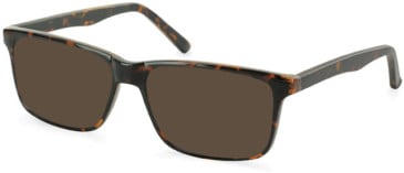 SFE-11069 sunglasses in Tortoiseshell