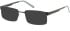 SFE-11076 sunglasses in Black