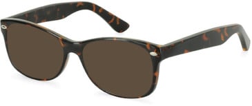 SFE-11079 sunglasses in Tortoiseshell