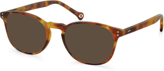 SFE-11104 sunglasses in Matt/Tortoiseshell