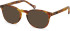SFE-11104 sunglasses in Matt/Tortoiseshell