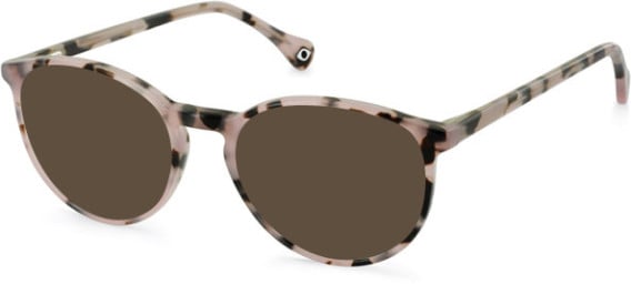 SFE-11109 sunglasses in Blush