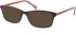SFE-11115 sunglasses in Burgundy